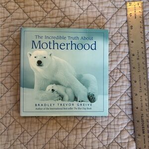 Truth About Motherhood Book